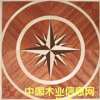 c(din)鿴NSF-F6-Hua006ŴDƬ