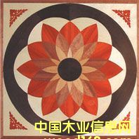 c(din)鿴NSF-F6-Hua009ŴDƬ