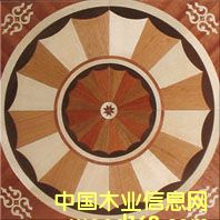 c(din)鿴NSF-F6-Hua005ŴDƬ