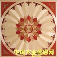 c(din)鿴NSF-F6-Hua001ŴDƬ