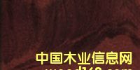 c(din)鿴kwila.̫ƽFľŴDƬ