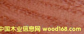 c(din)鿴rosewood̫ƽtľŴDƬ