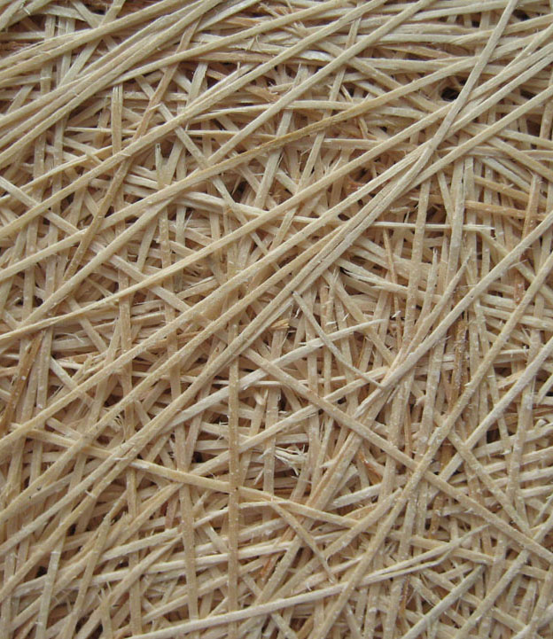 Ȼľz