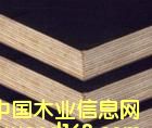 建筑模板