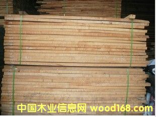 五角楓的詳細(xì)介紹