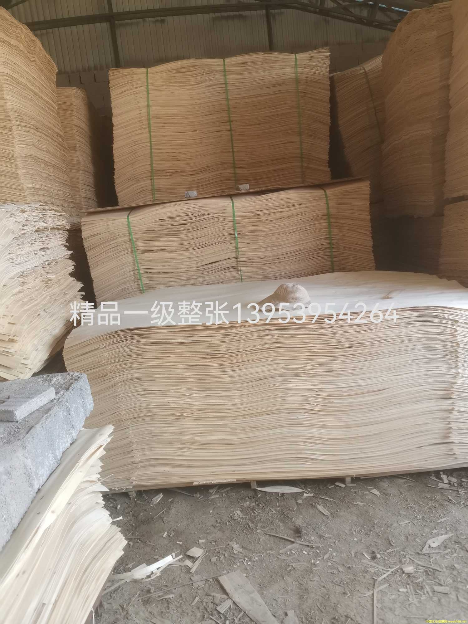 一級(jí)整張
